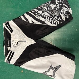 Apline Gravity Shorts Mens 34